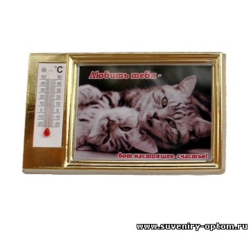 Магнит в «золотой рамке» с термометром «Котики. Любить тебя - вот настоящее счастье!»
