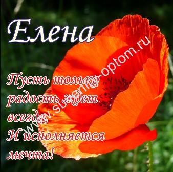 Значение имени Инна, происхождение, гороскоп, совместимость Цветок для имени - Opulent Woman