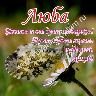Как сделать так что бы девушка быстро кончила Как сделать так что бы девушка быстро кончила