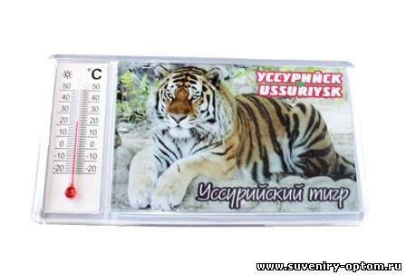 Магнит акриловый с термометром «Уссурийск. Тигр1»