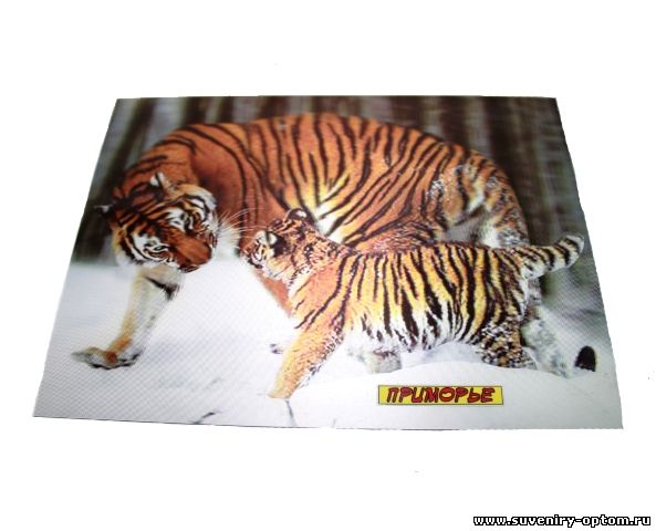 Магнит 3d «Приморье. Тигры1»