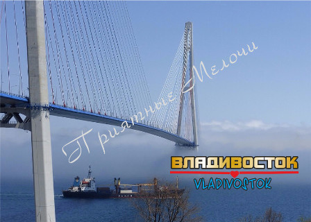 Магнит плоский «Владивосток. Русский Мост»