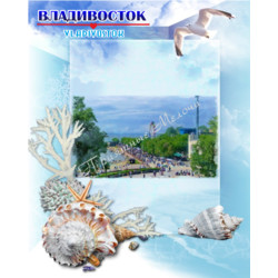Магнит плоский 8х10 см «Владивосток. Чайка»