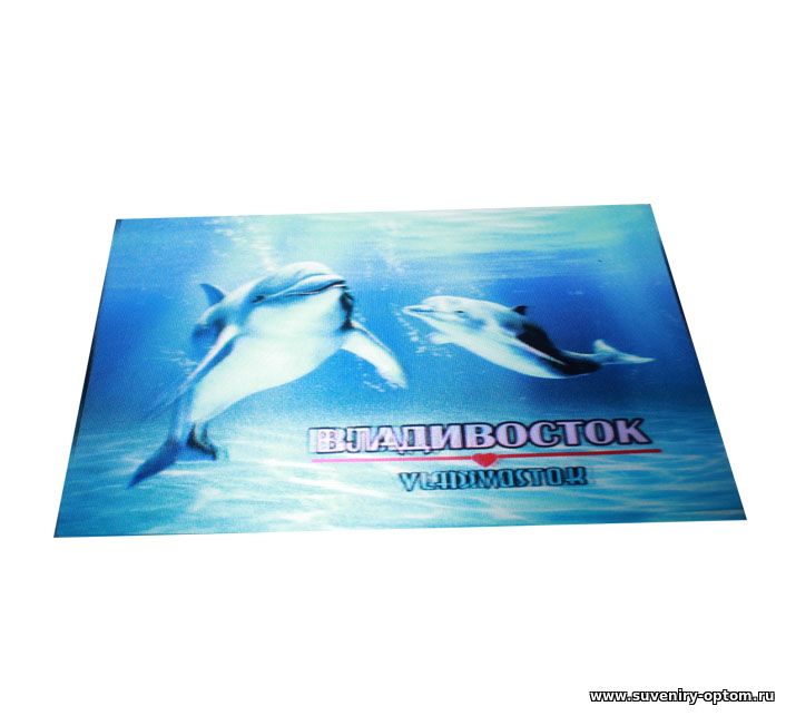 Магнит 3d 10х15 см «Владивосток. Дельфины»