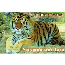 Магнит акриловый «Владивосток. Уссурийский Тигр»