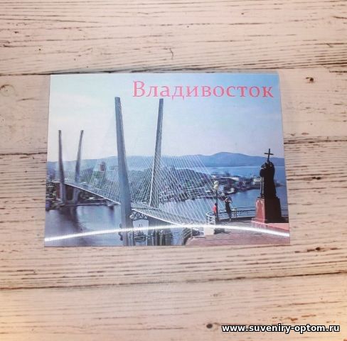 Магнит 3d 15х20 см «Владивосток. Золотой Мост+Памятник Кириллу и Мефодию»