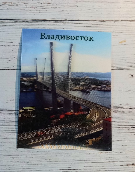 Магнит 3d 15х20 см «Владивосток. Золотой Мост»