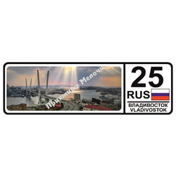 Магнит виниловый-номер малый 3,5х11см 