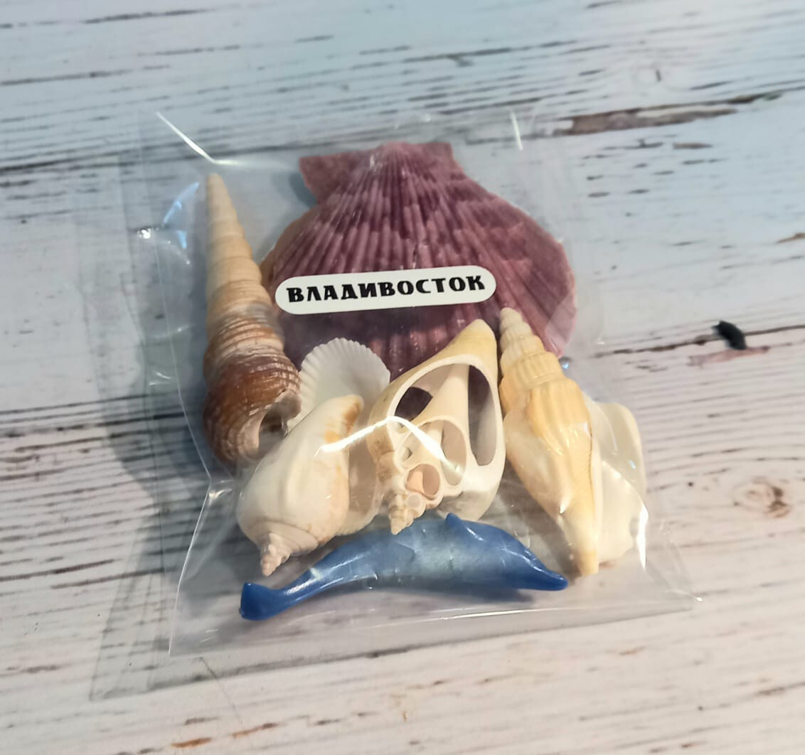 Набор ракушек