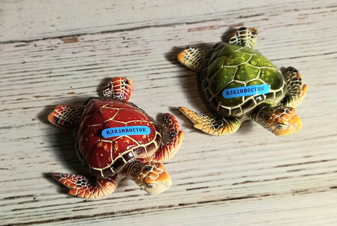 Магнит черепаха полистоун 