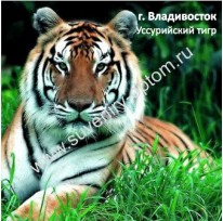 Магнит акриловый «Владивосток. Тигр»