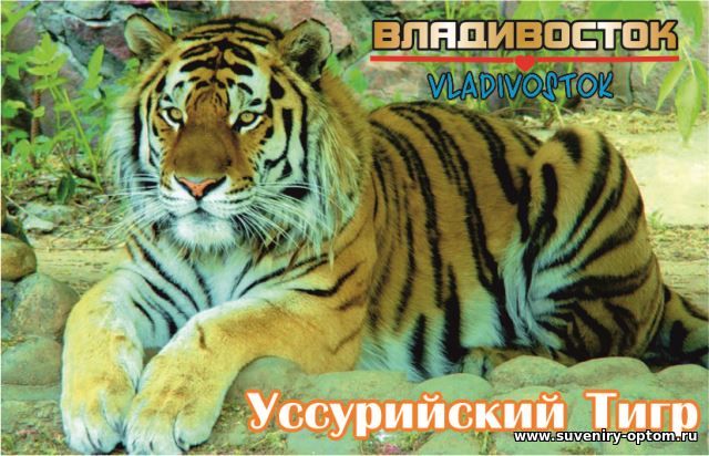 Магнит акриловый «Владивосток. Уссурийский Тигр»