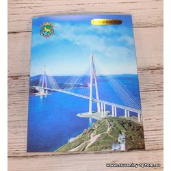 Магнит 3d 15х20 см «Владивосток. Русский Мост»