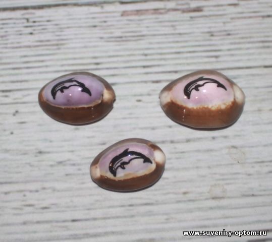 Ракушка57 малая