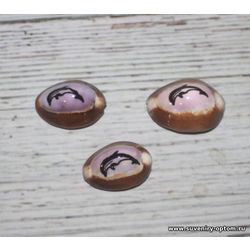 Ракушка57 малая